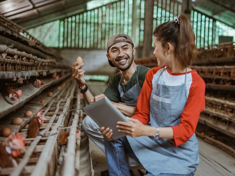 Curso Técnico em Agropecuária